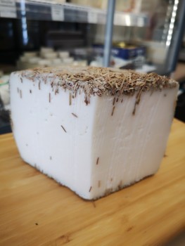 LA TOMME DE CHÈVRE AU...