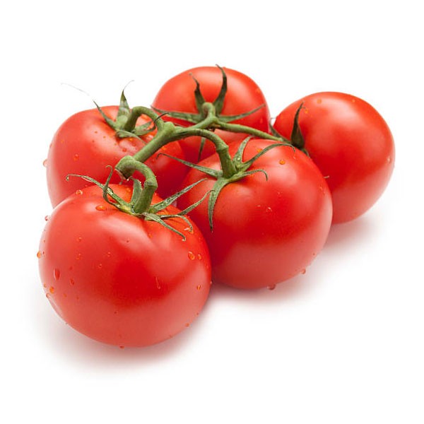 TOMATE GRAPPE