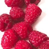 FRAMBOISE - 250g