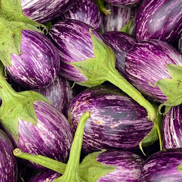 AUBERGINE RAYÉE, BLANCHE OU RONDE - 500g